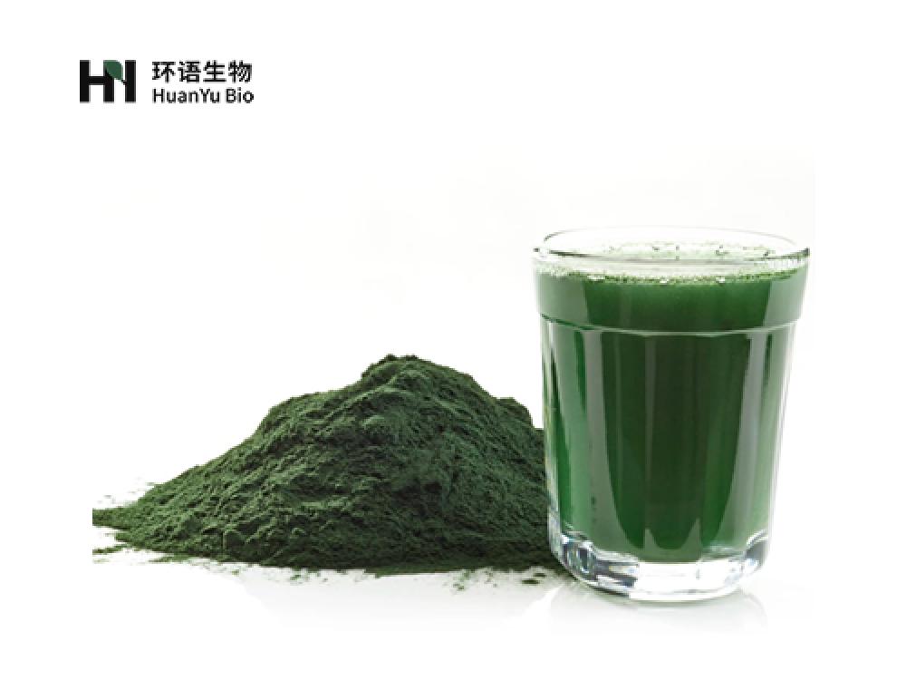 小球藻粉末