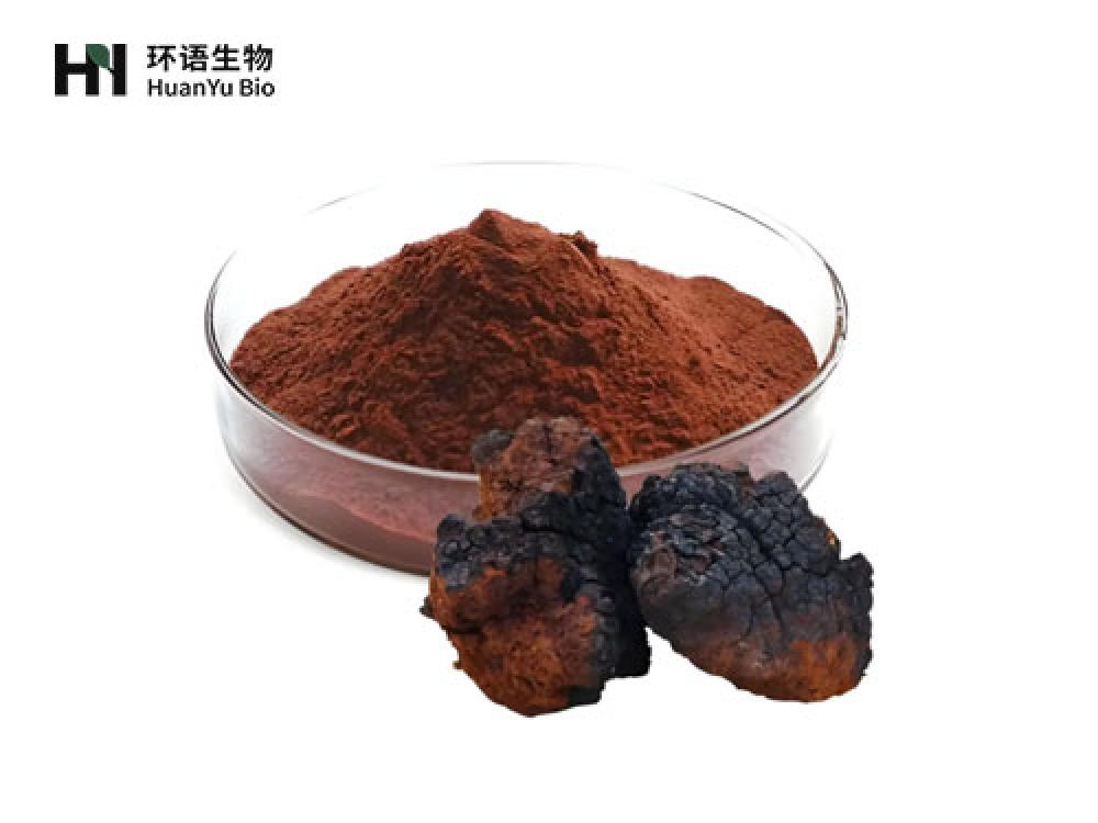 桦树茸粉