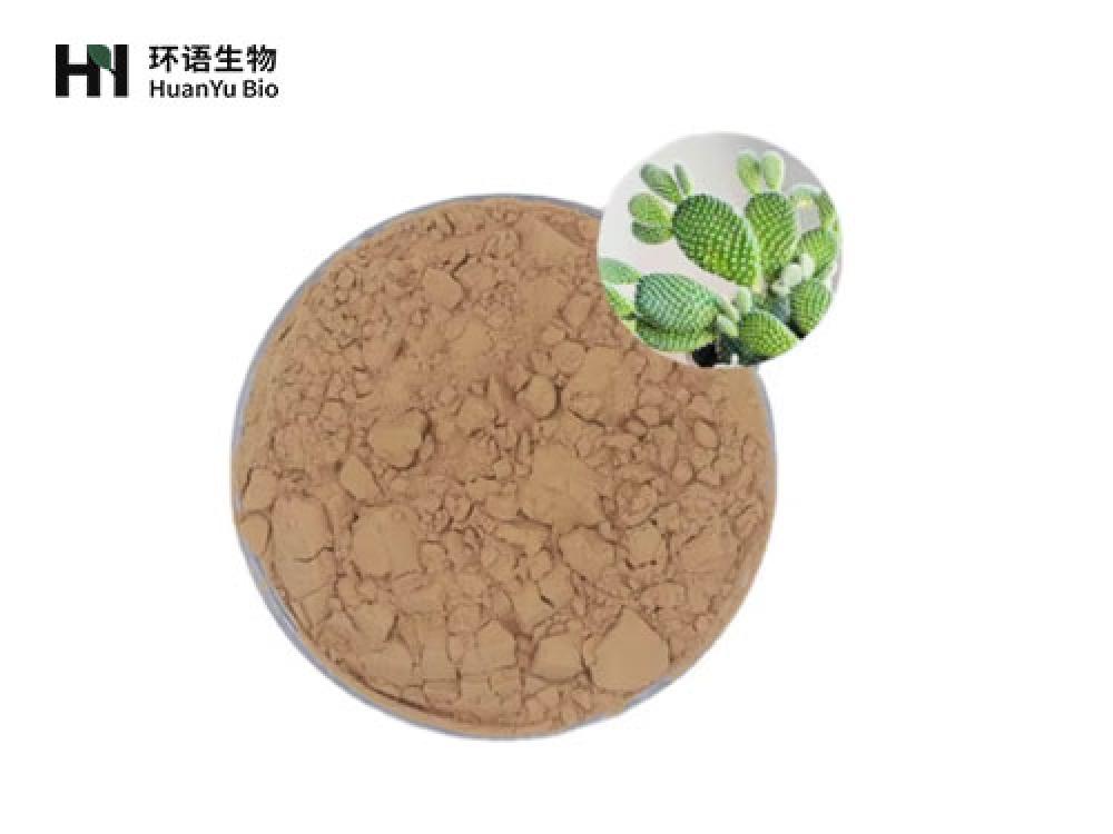 仙人掌提取物粉末