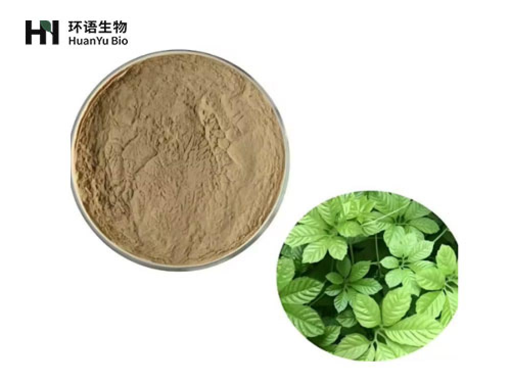 龙胆提取物粉末