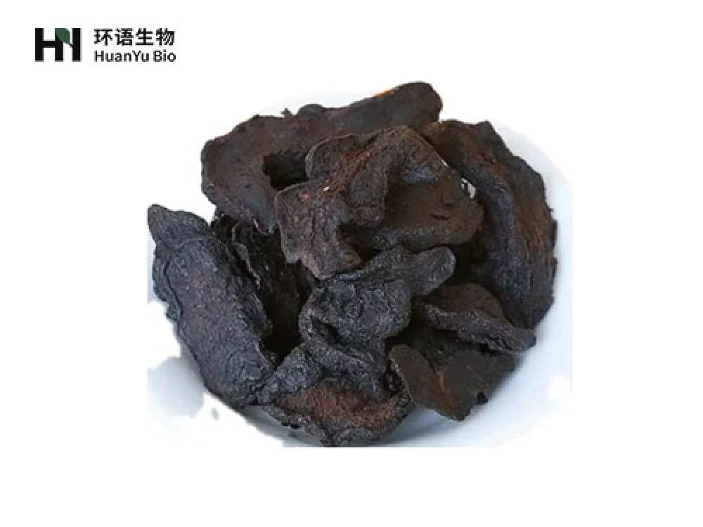 熟地黄跟提取物粉末
