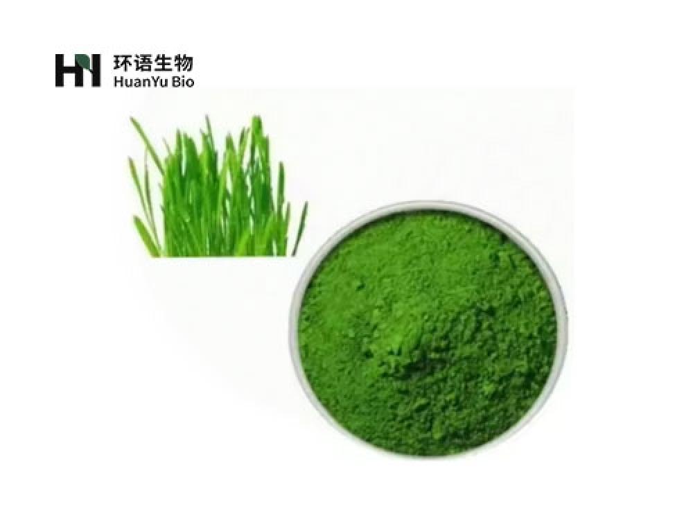 小麦草提取粉末