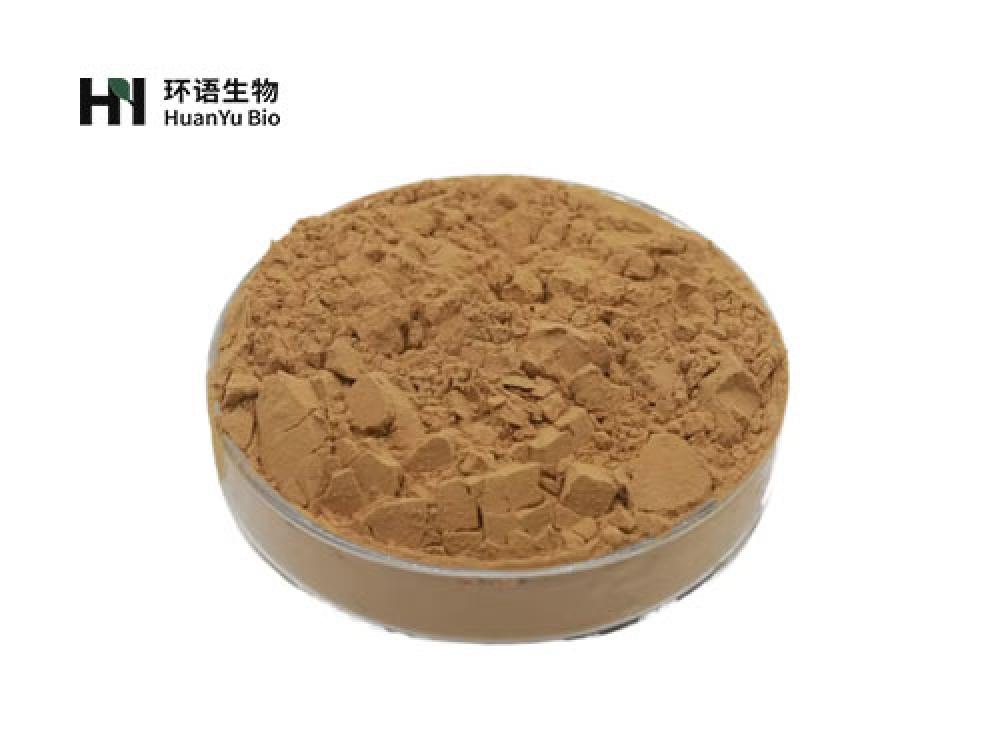 姜提取物粉末