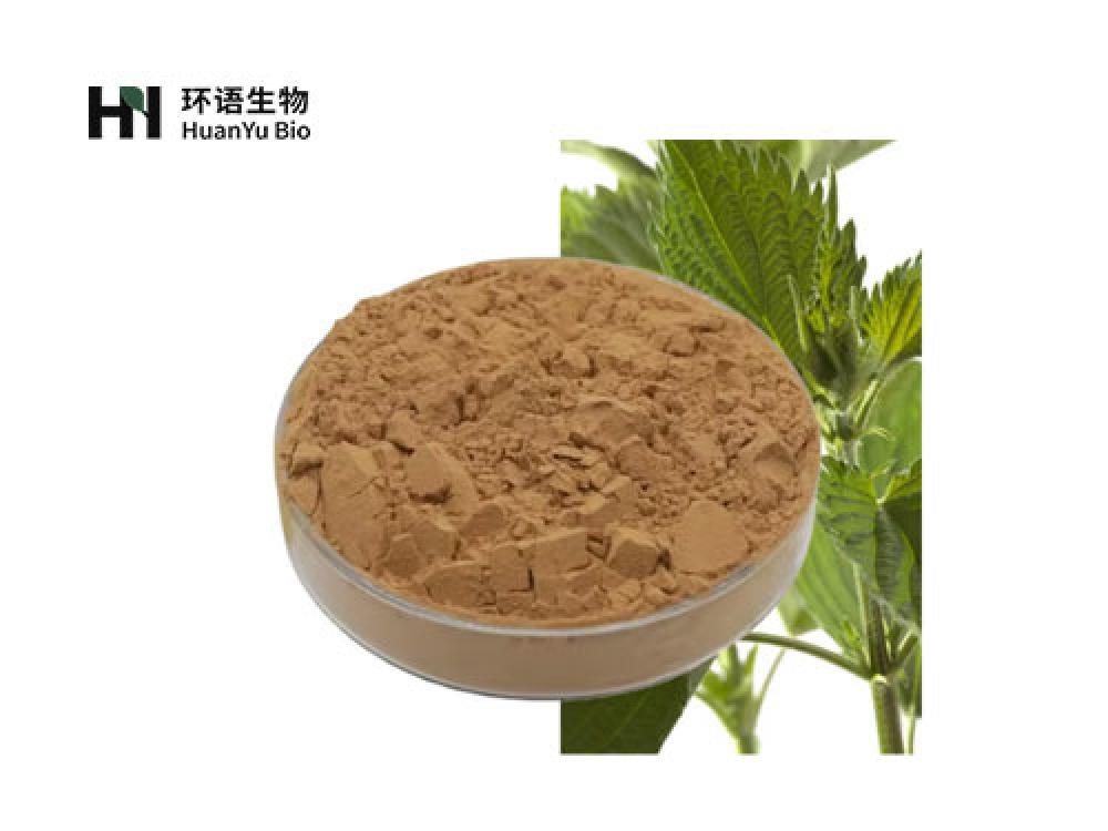 荨麻叶提取物粉末