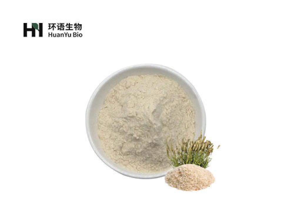 车前子壳粉末