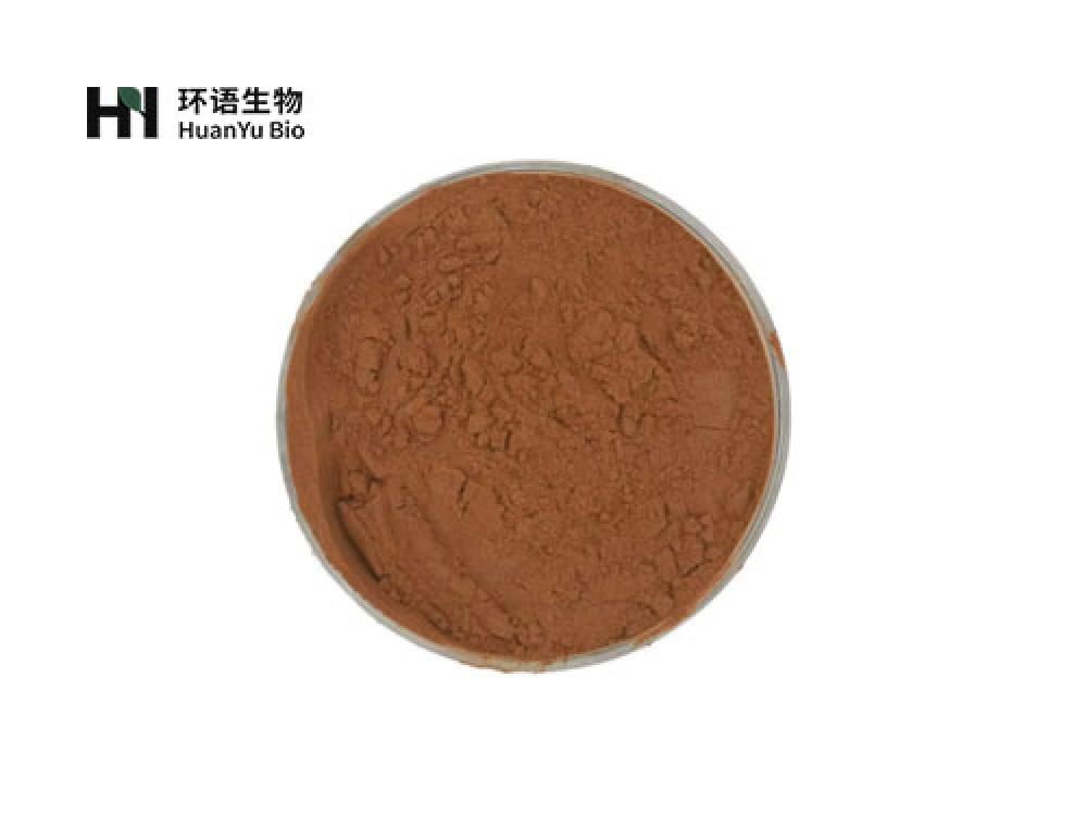 大黄根提取物粉末