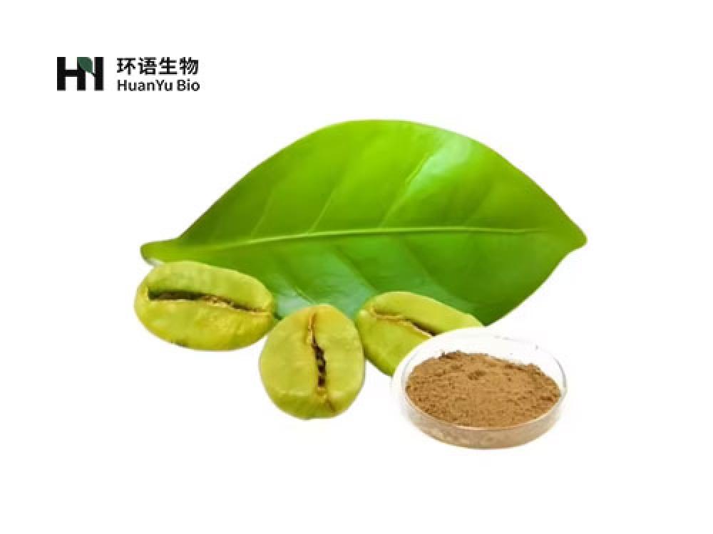 绿咖啡豆提取粉末